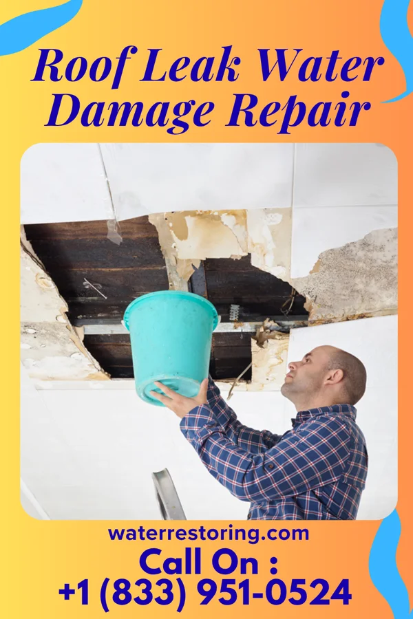Roof Leak Water Damage Repair in Foster Brook, PA