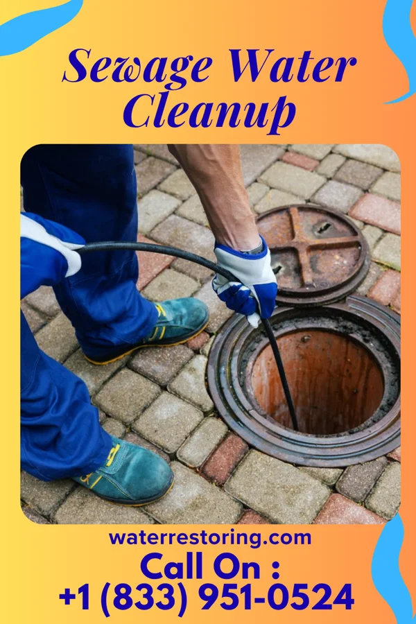 Sewage Water Cleanup in Foster Brook, PA